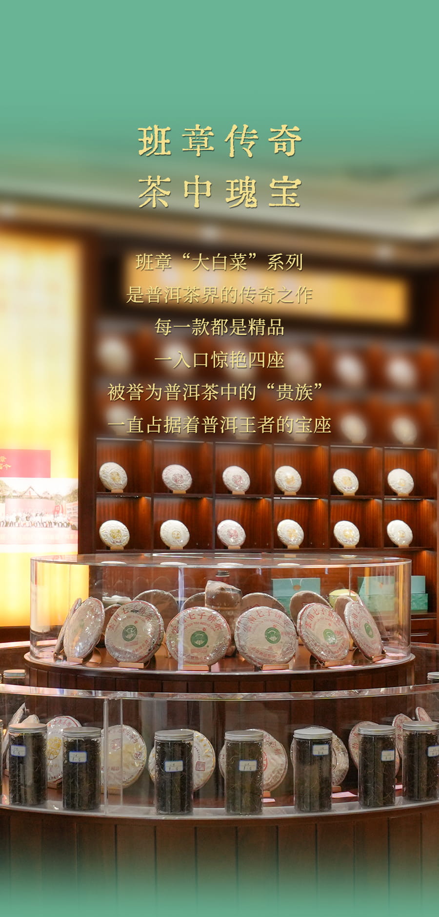 福今2025年班章青沱（大碗口）