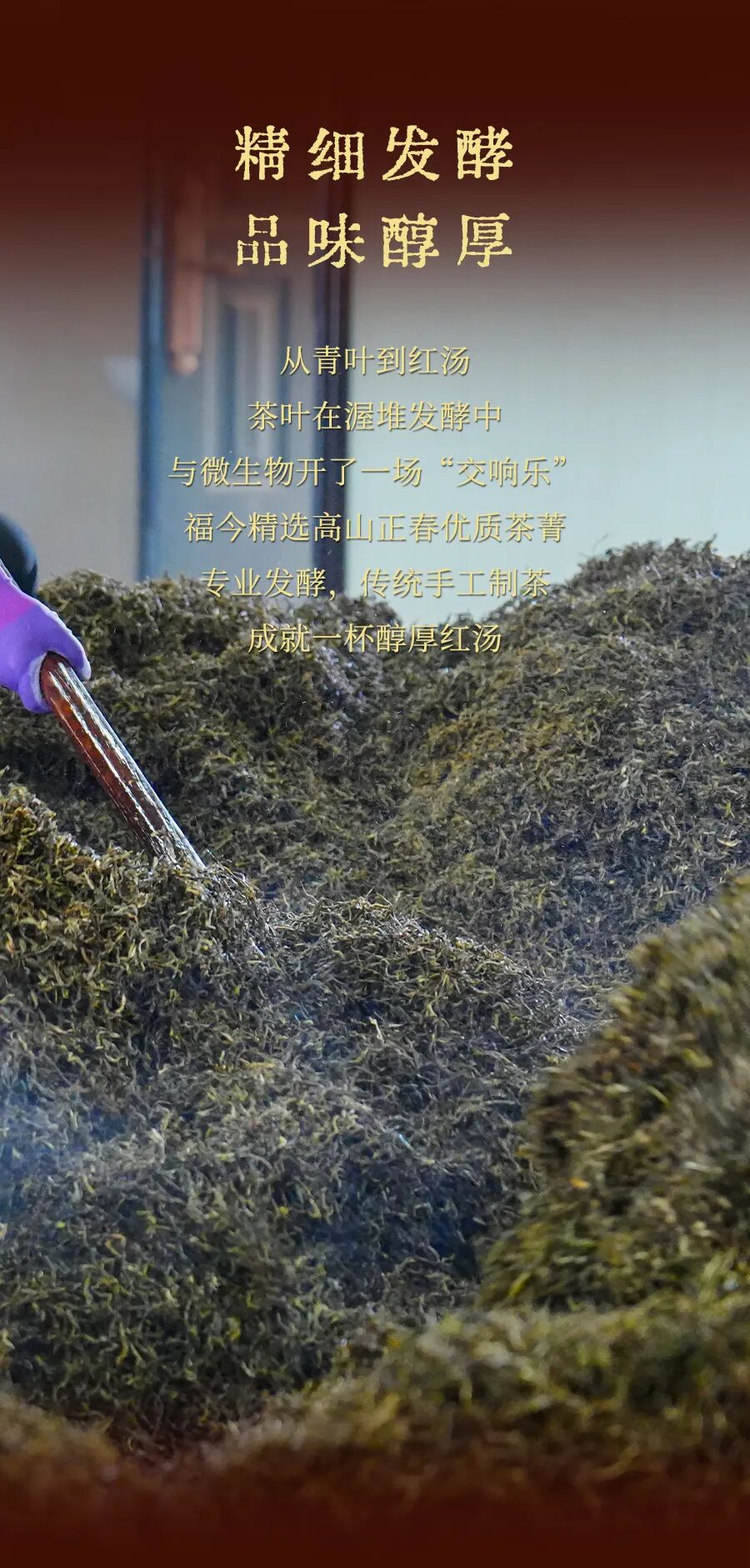 福今2025年福今凤凰熟饼