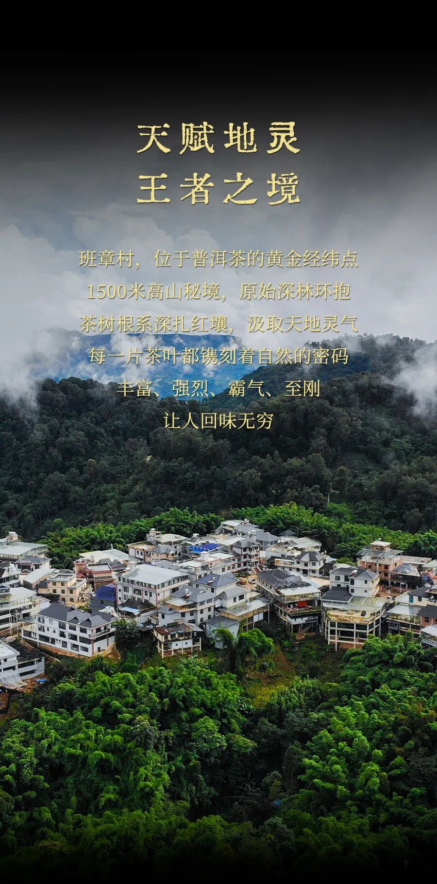 福今2025年班章万博尊享青饼