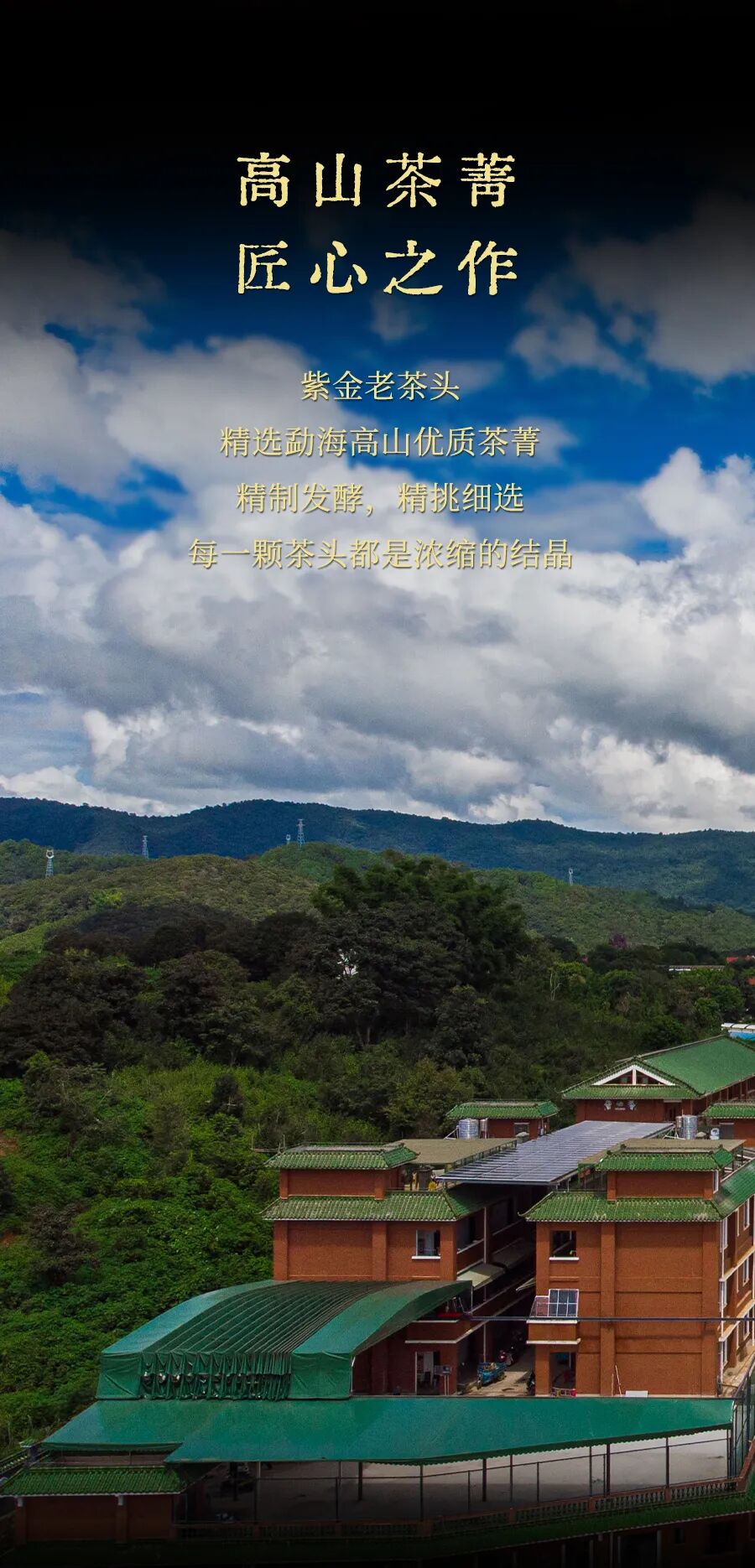 福今2025年紫金老茶头