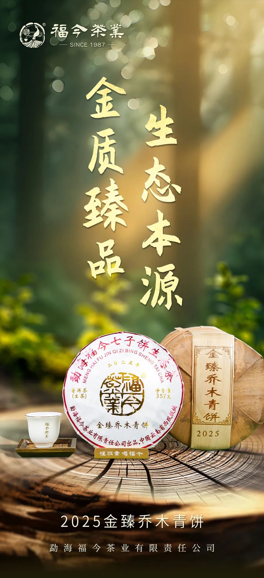 福今2025年金臻乔木青饼