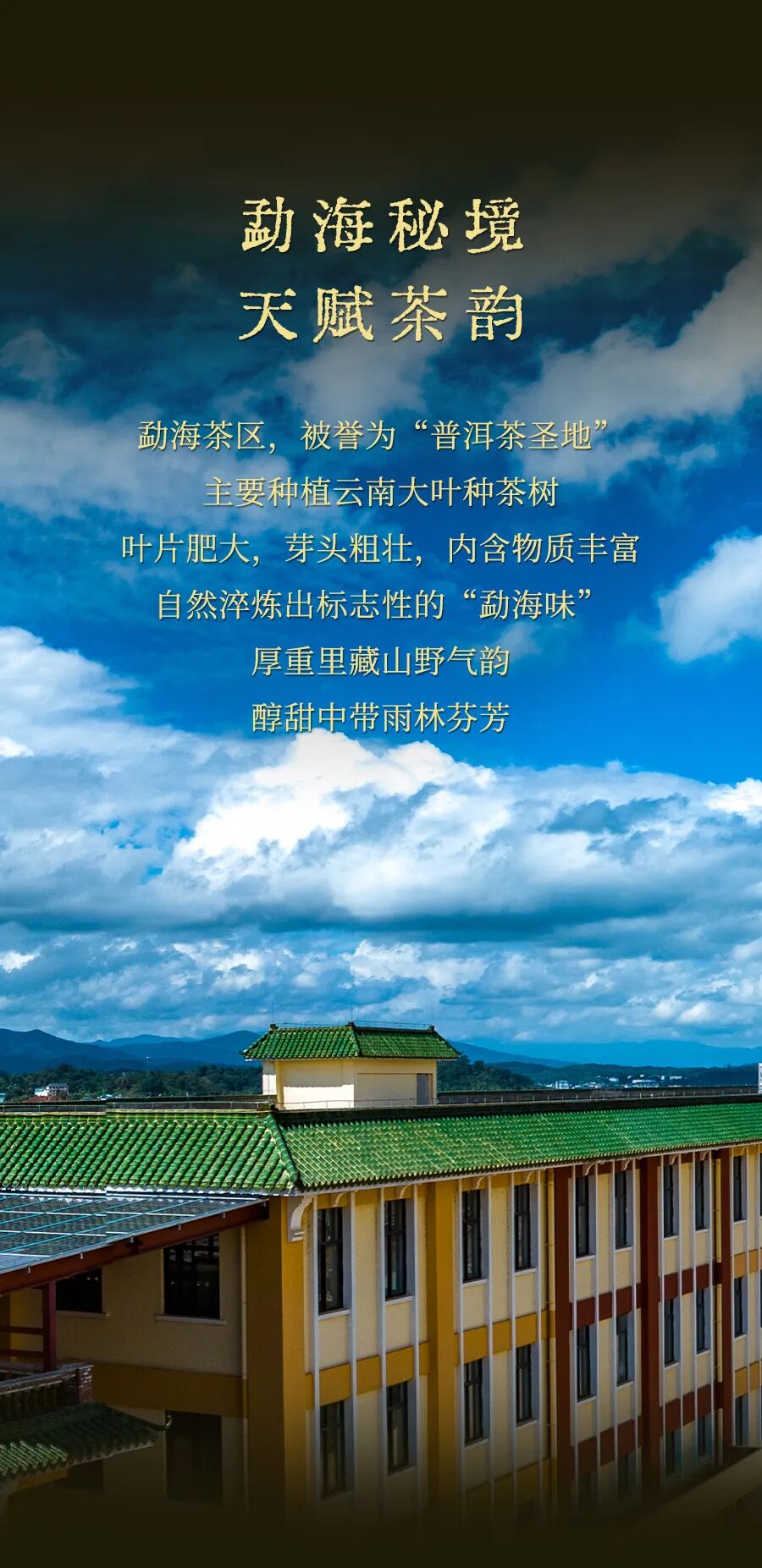 福今2025年金臻乔木青饼