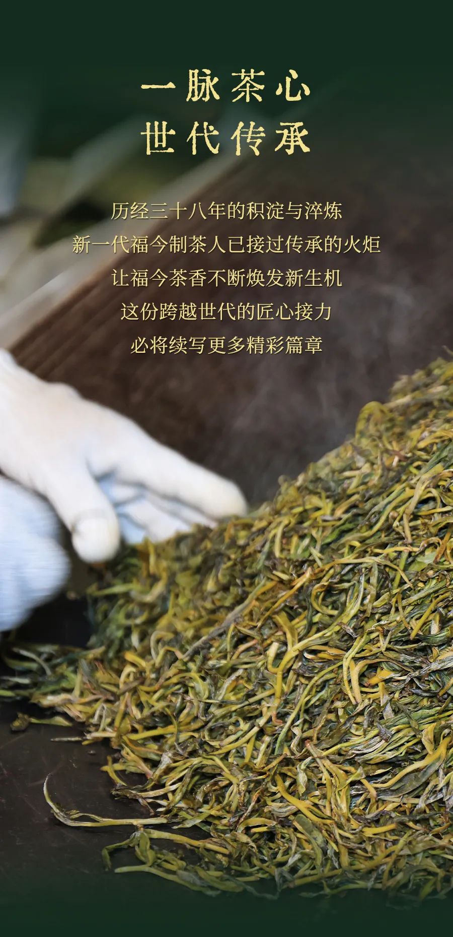 福今2025年技艺传承青饼