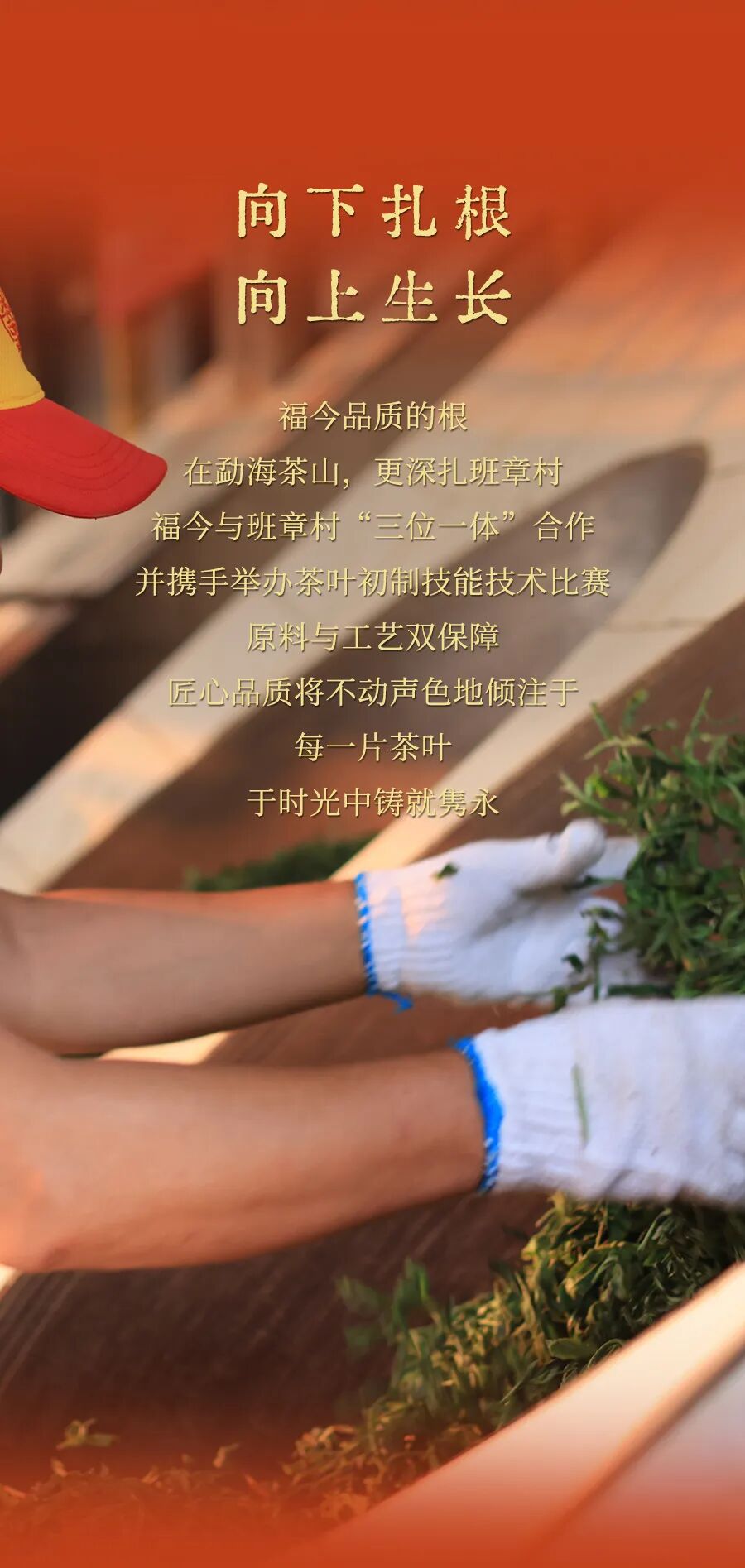 福今2025年福今茶厂成立二十周年纪念饼