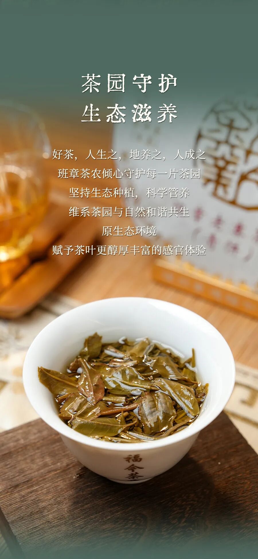 福今2025年班章老寨茶园青饼