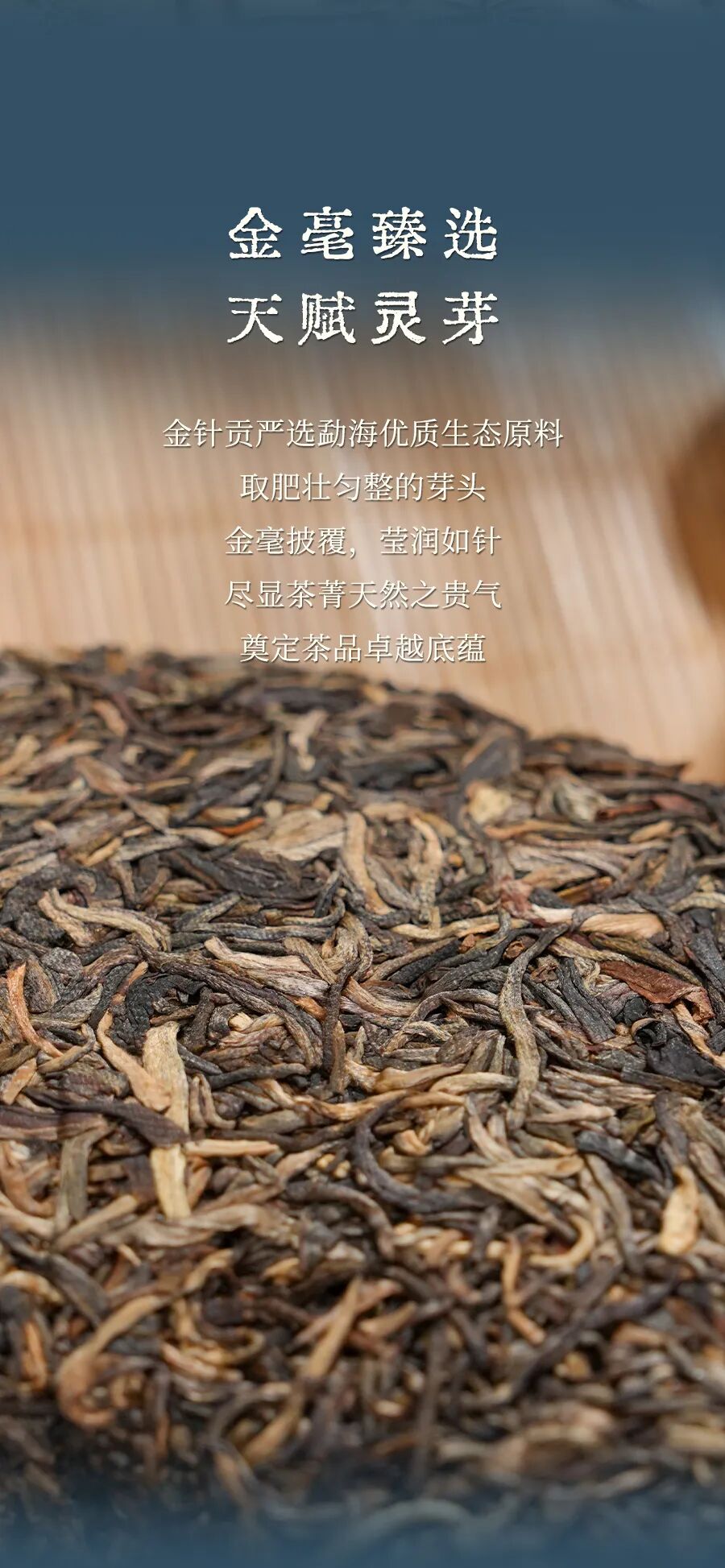 福今2025年金针贡青饼