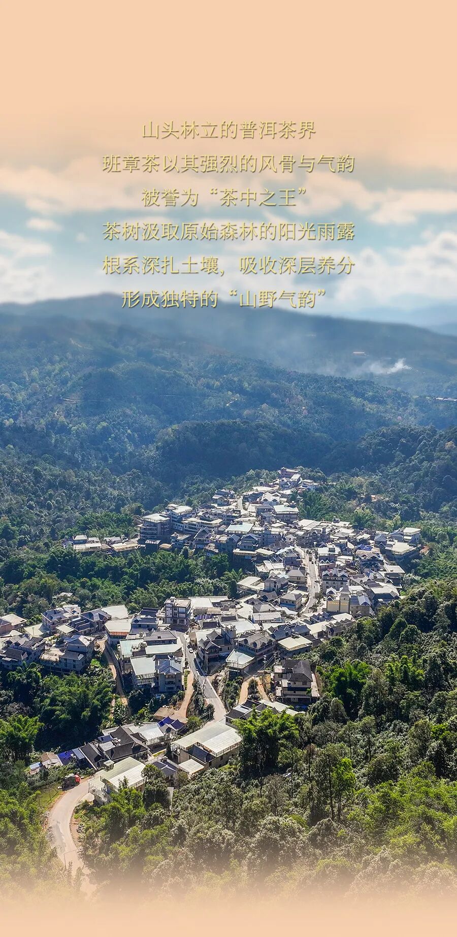 福今2025年班章小福饼