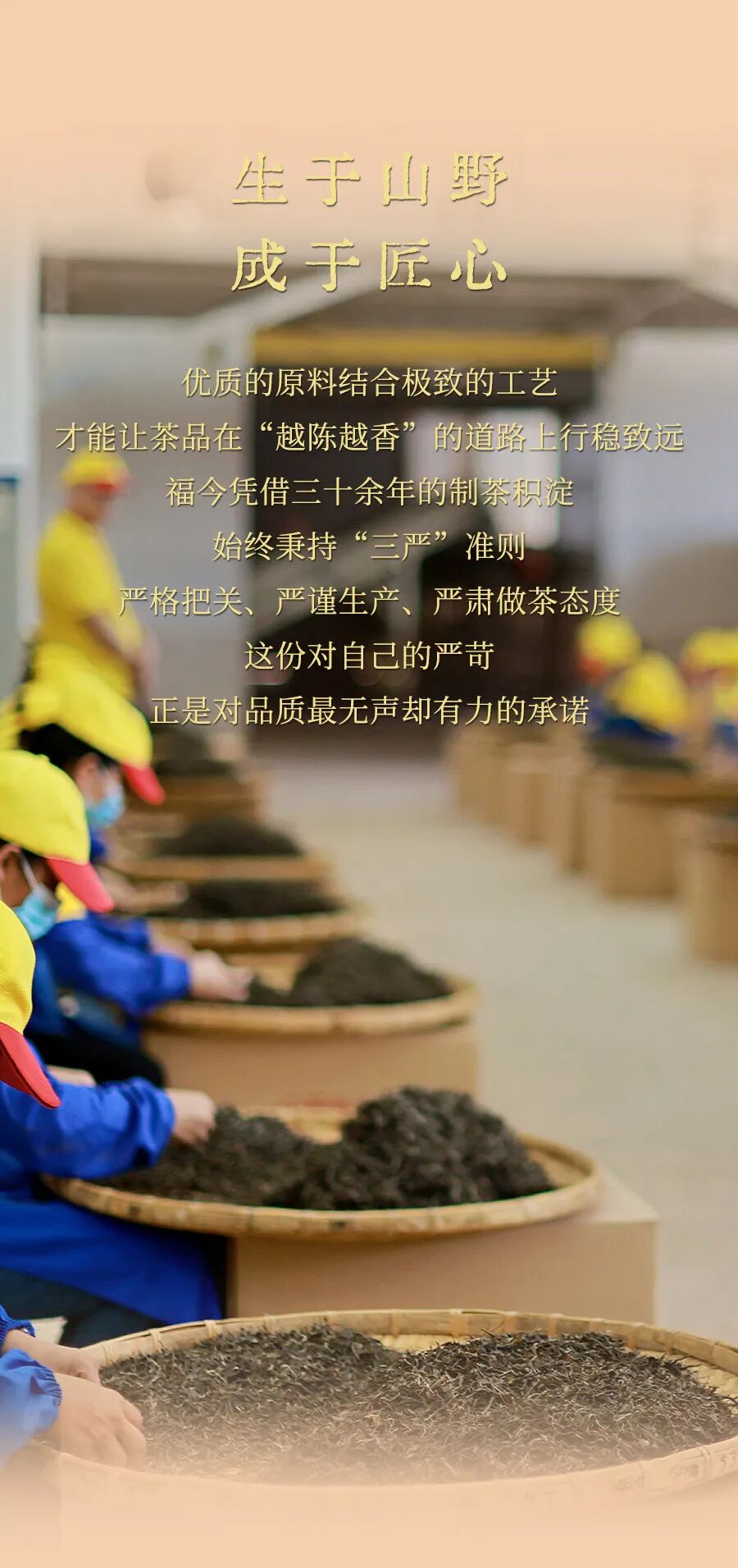 福今2025年班章小福饼