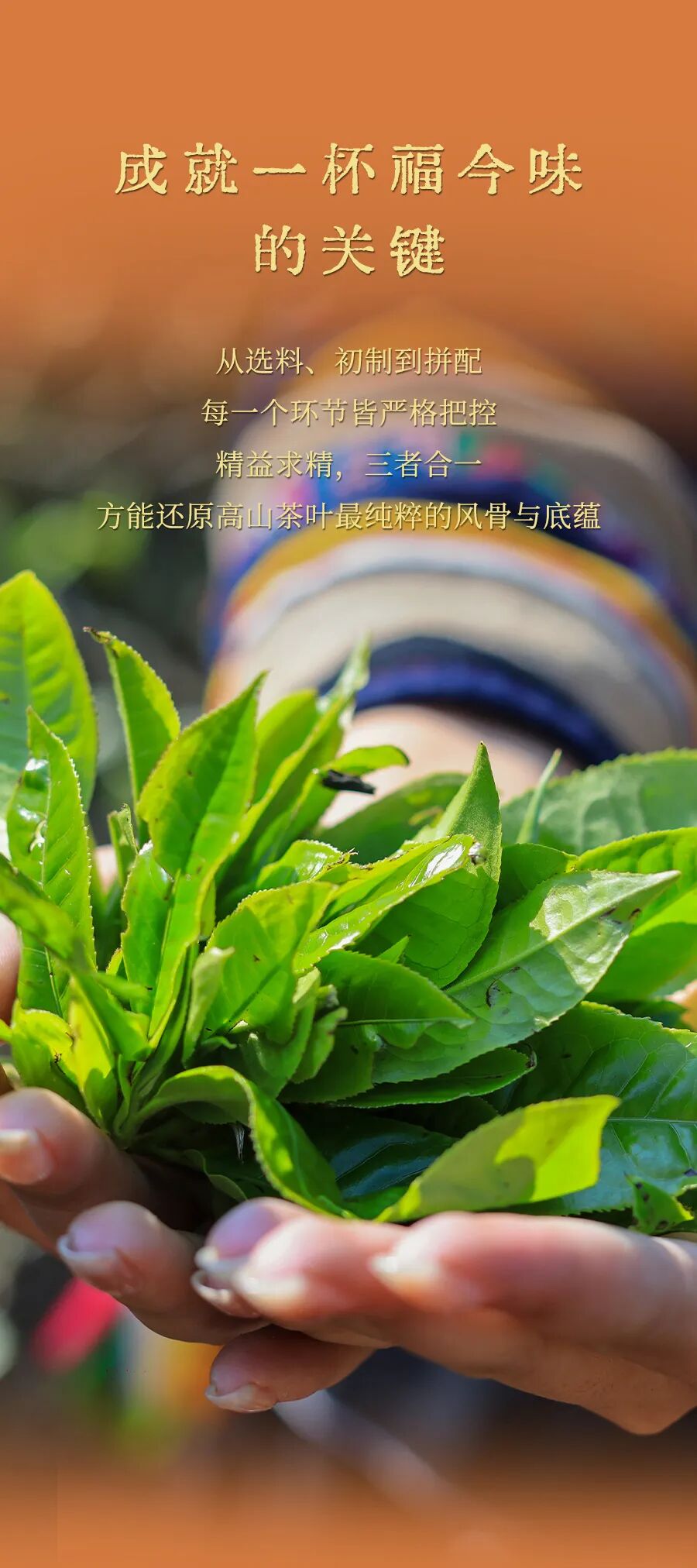 福今2025年福今味（五年陈）