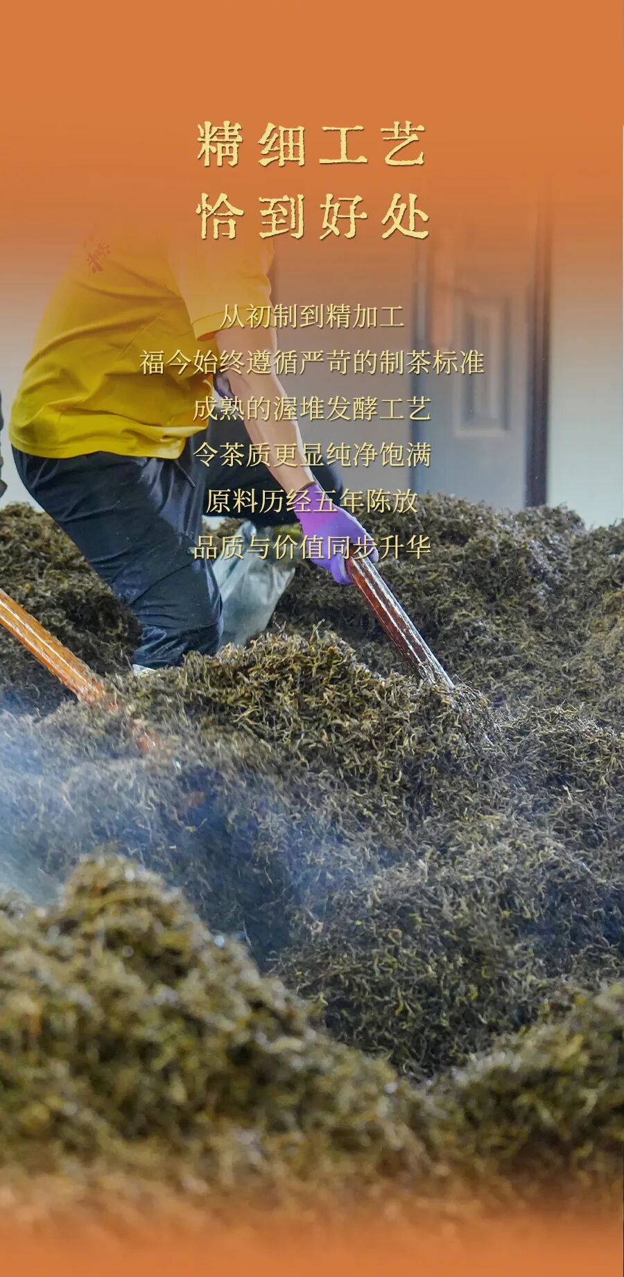 福今2025年福今味（五年陈）