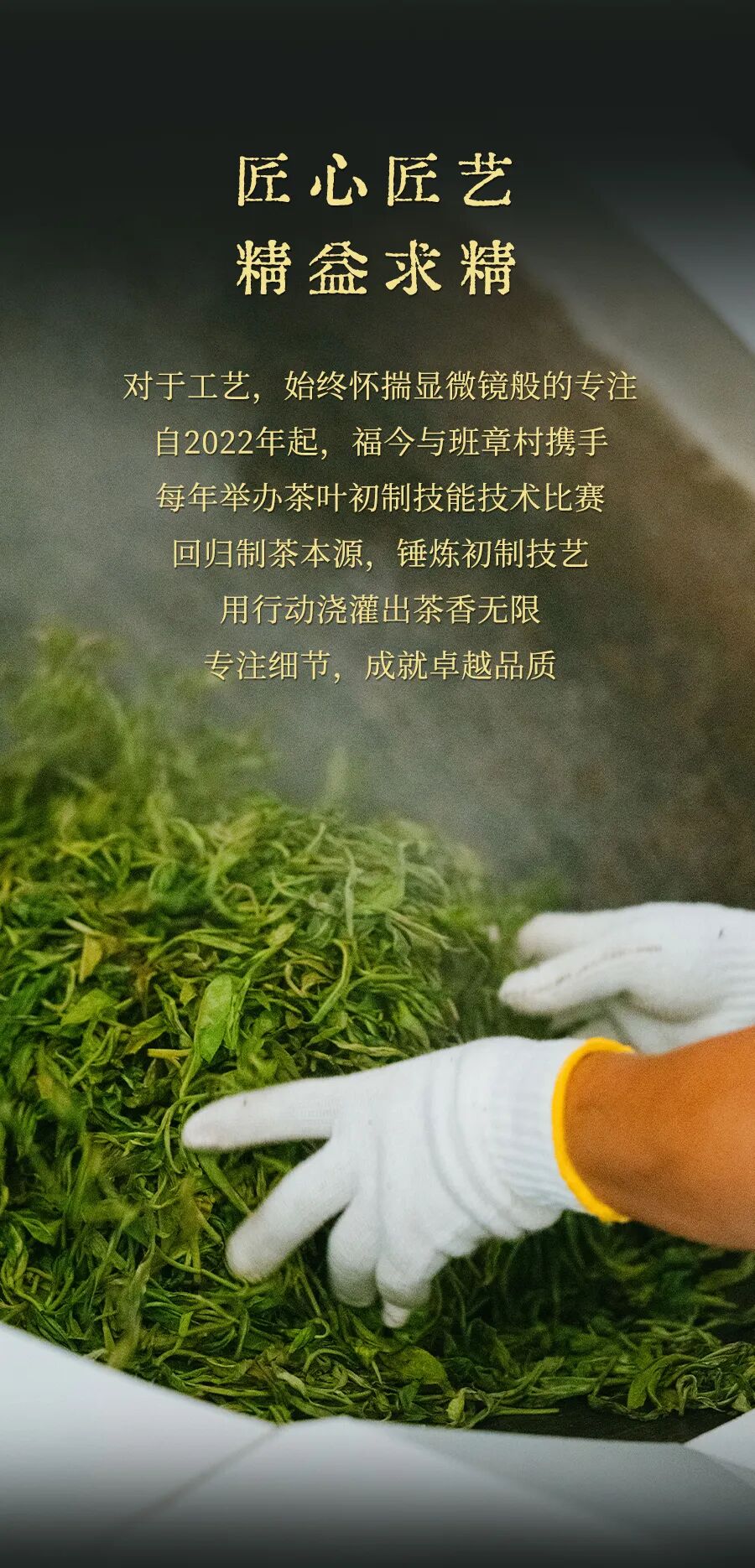 福今2025年初心青饼