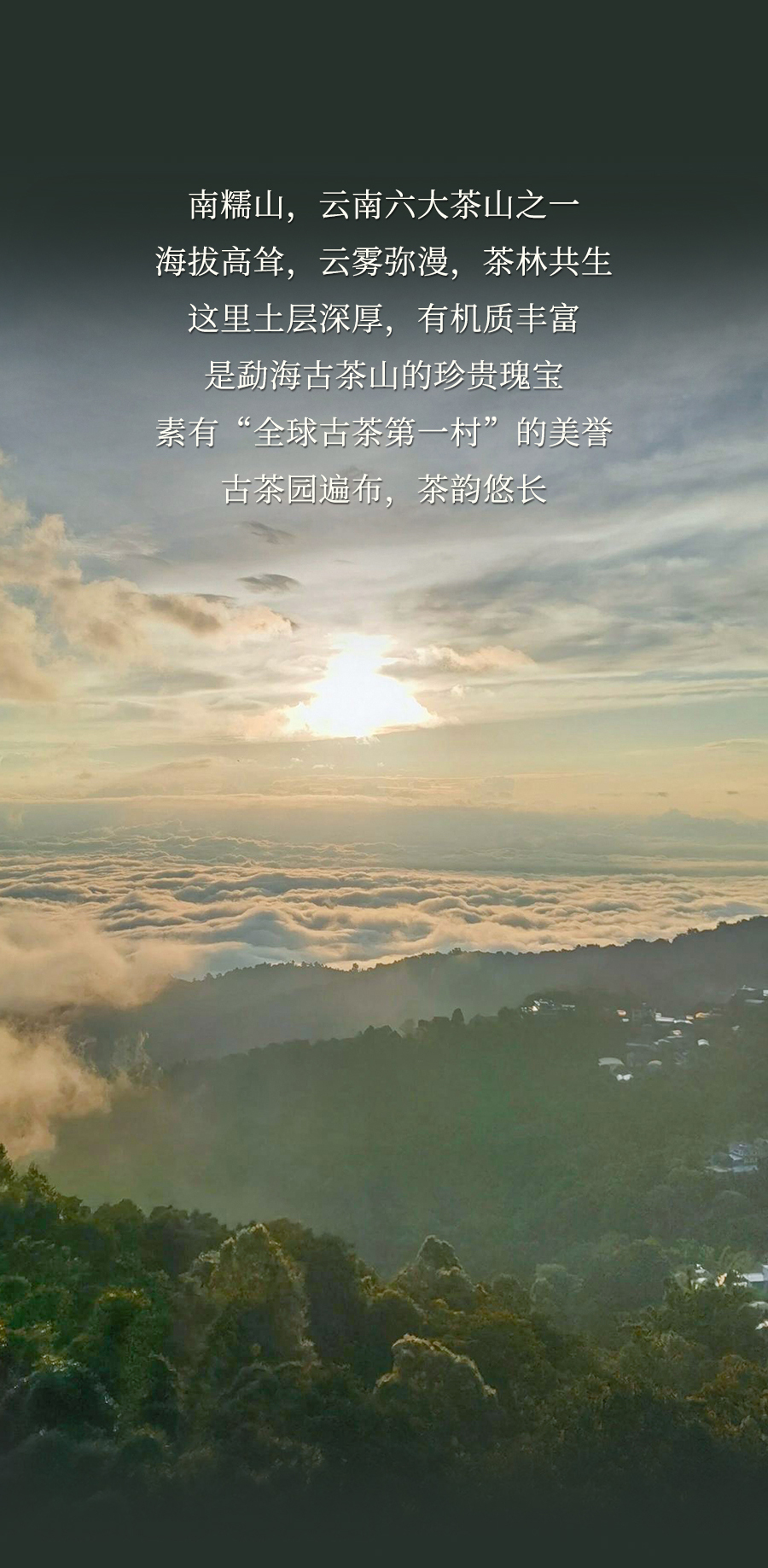 福今2025年南糯山拔玛小圆饼