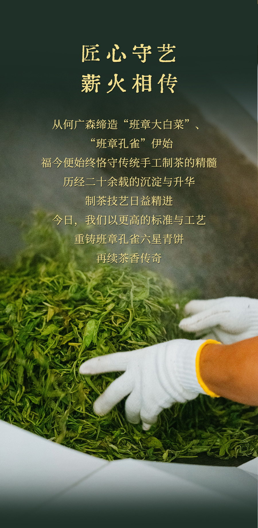 福今2025年班章孔雀六星青饼