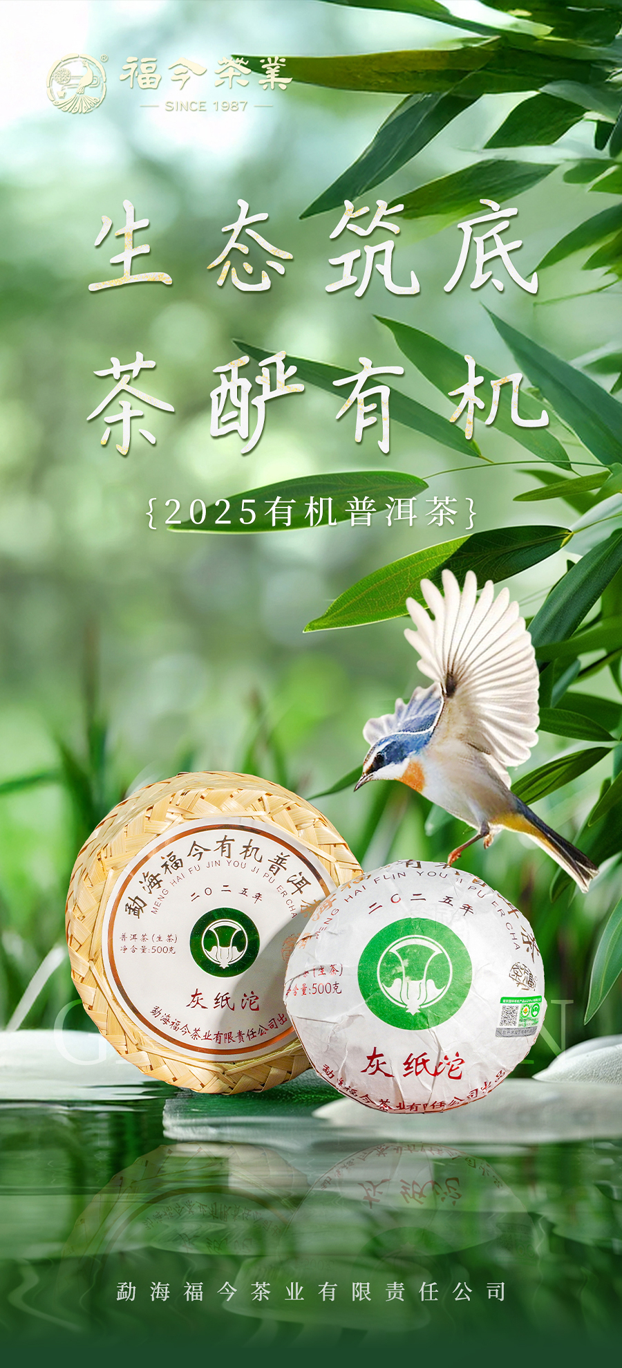 福今2025年灰纸沱